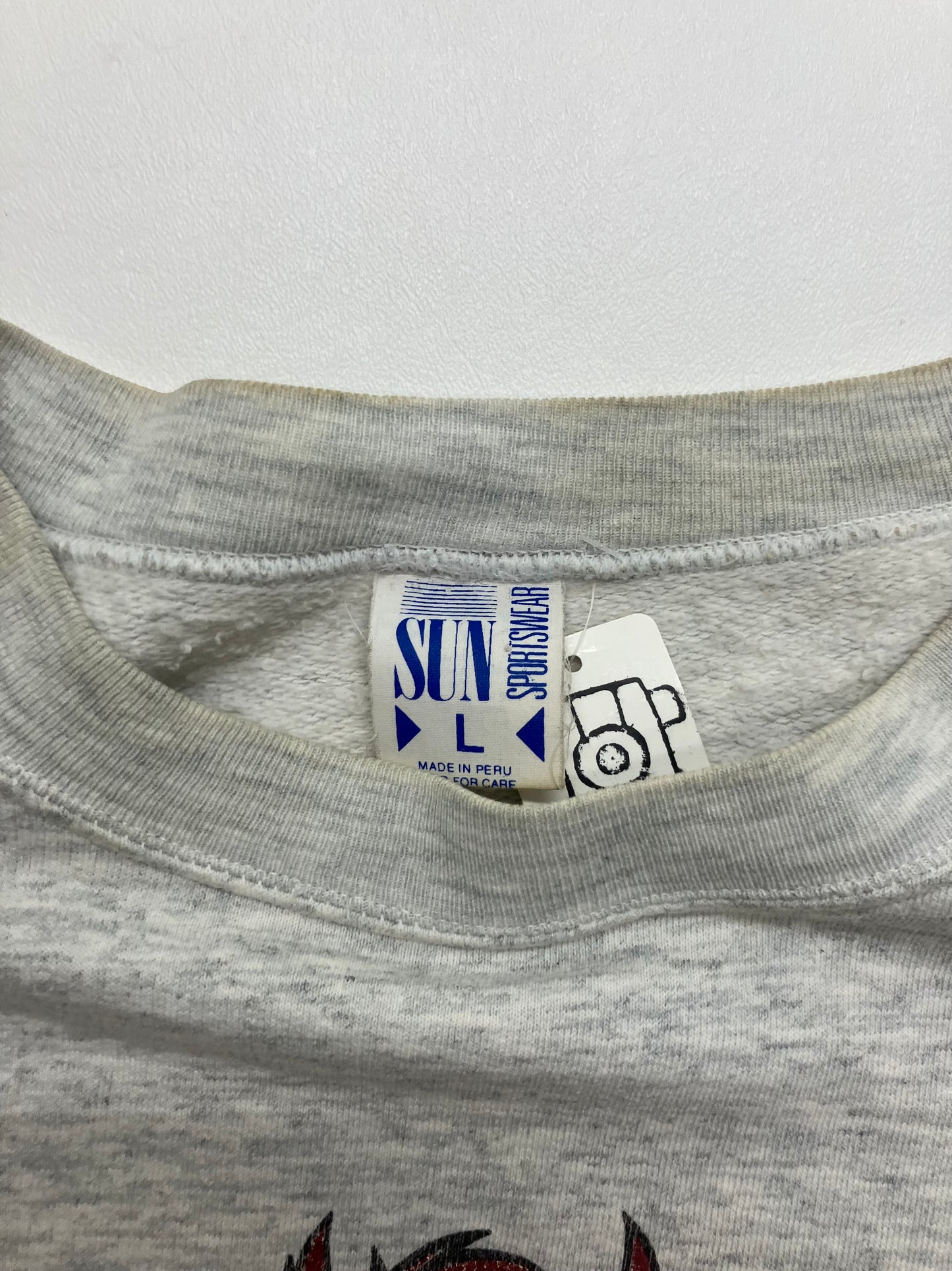 Vintage 1990’s Warner Bros Taz Crewneck