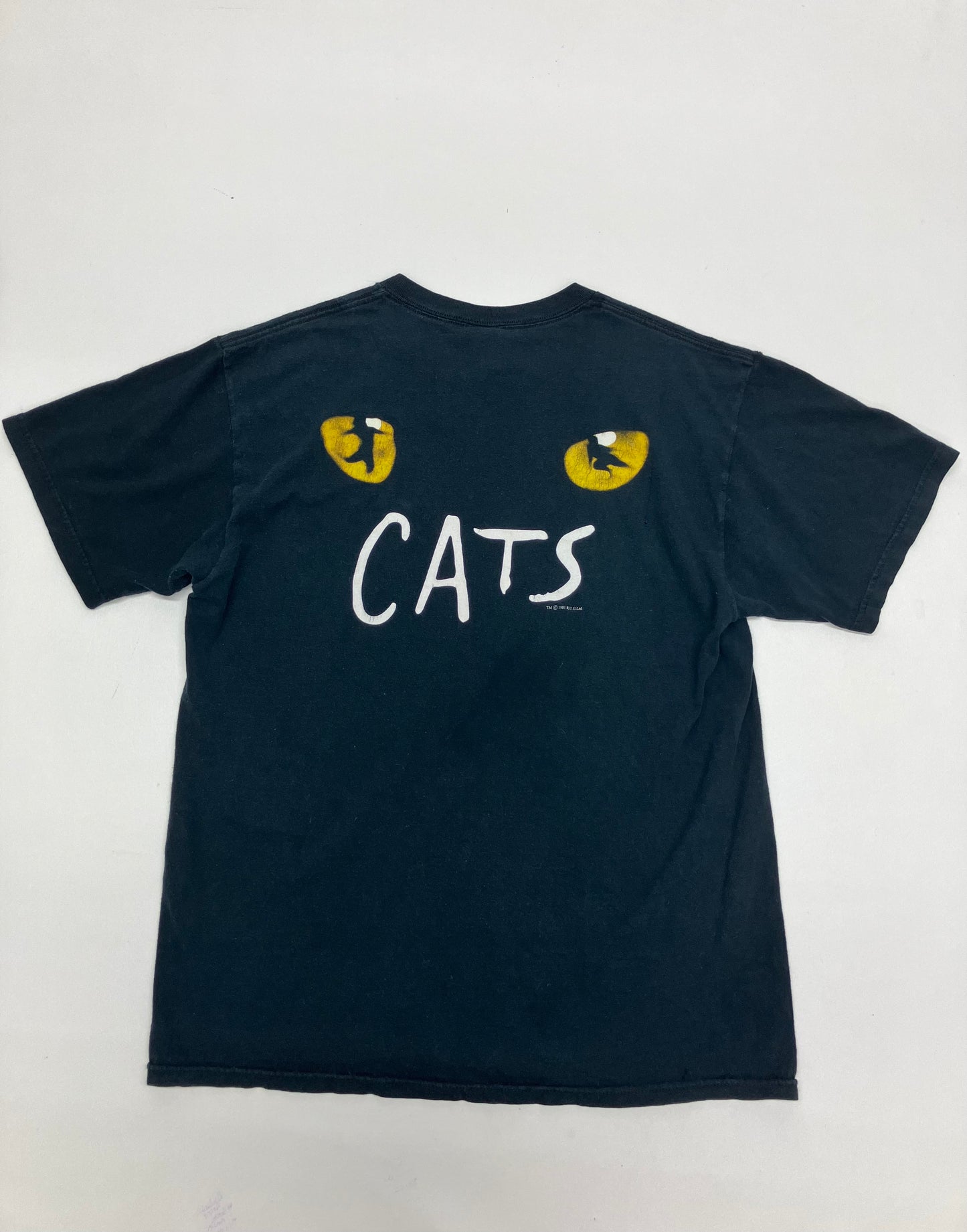 Y2K Cats the Musical Graphic Tee