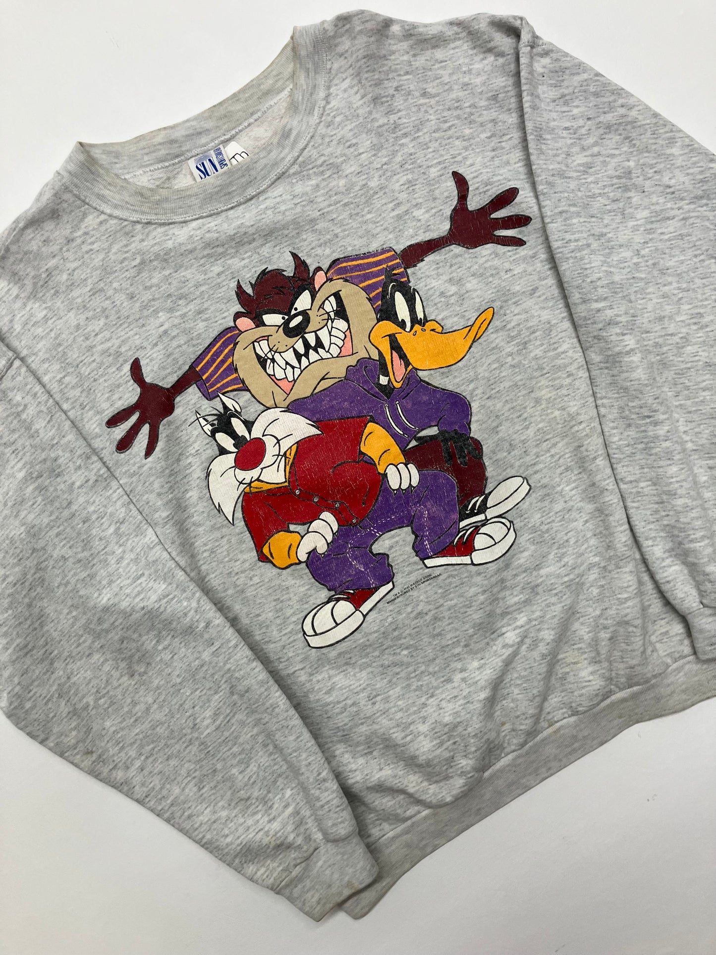 Vintage 1990’s Warner Bros Taz Crewneck
