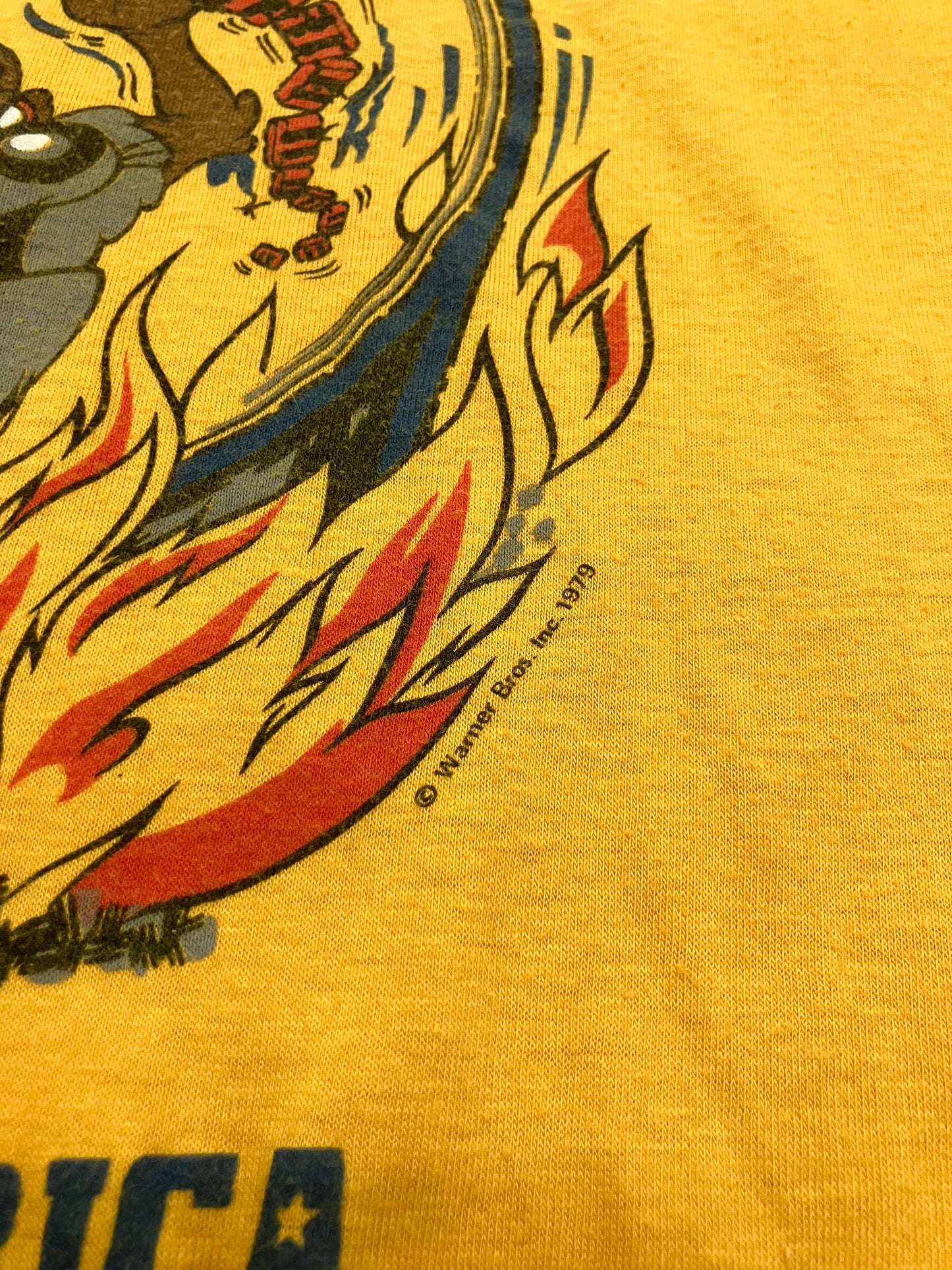 Vintage 1979 Taz Marriott Rollercoaster Tee